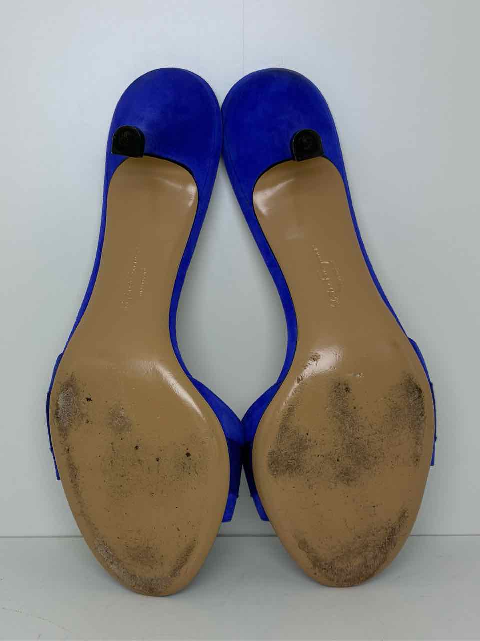 Ferragamo Blue Shoe Size 11 Pumps