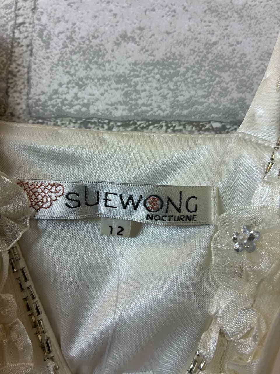 Size 10 Sue Wong Nocturne Multi-Color Dress