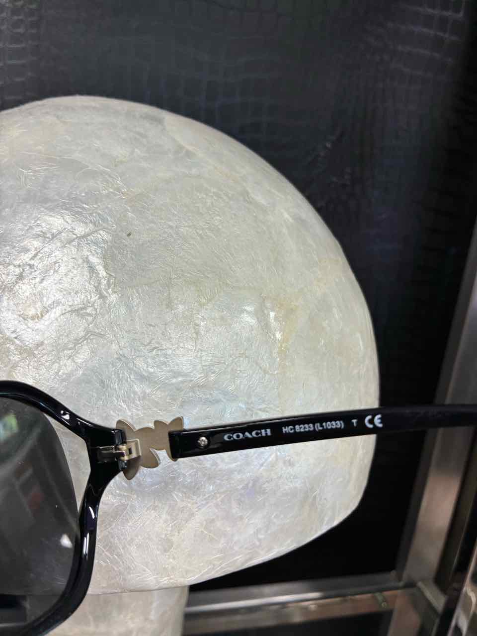 Coach Black Sunglasses