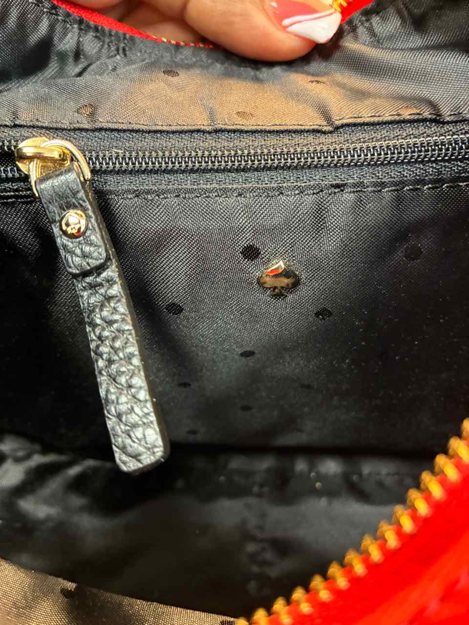 Kate Spade Female Multi-Color Purse