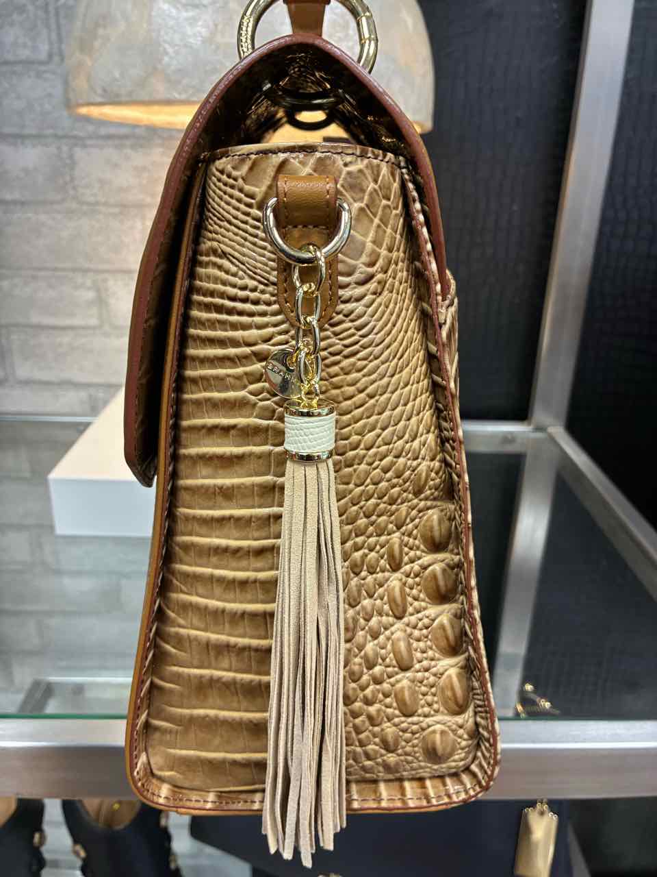 Brahmin  Multi-Color Purse